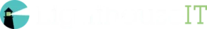 Lighthouse IT logo