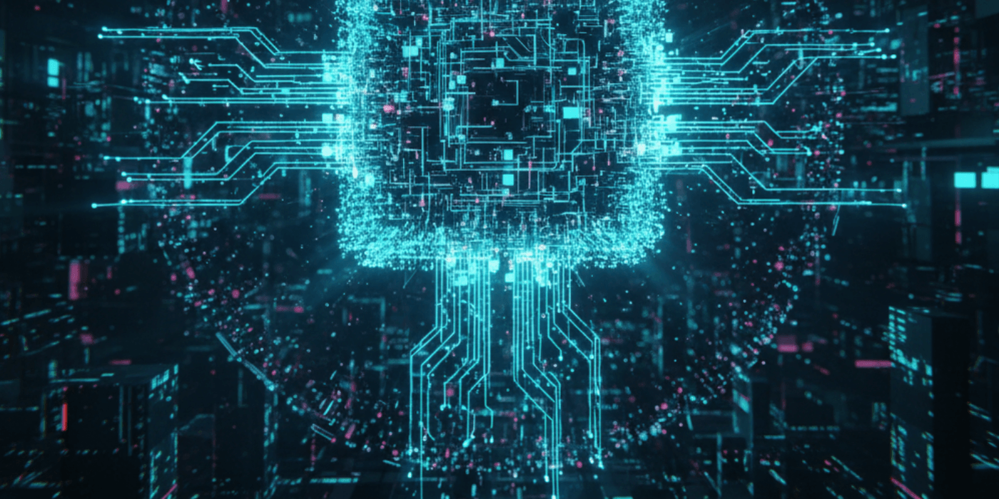 web dev & design specialist, t's & c's, digital expert