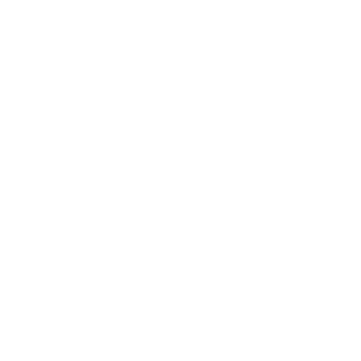 Lightning Logo